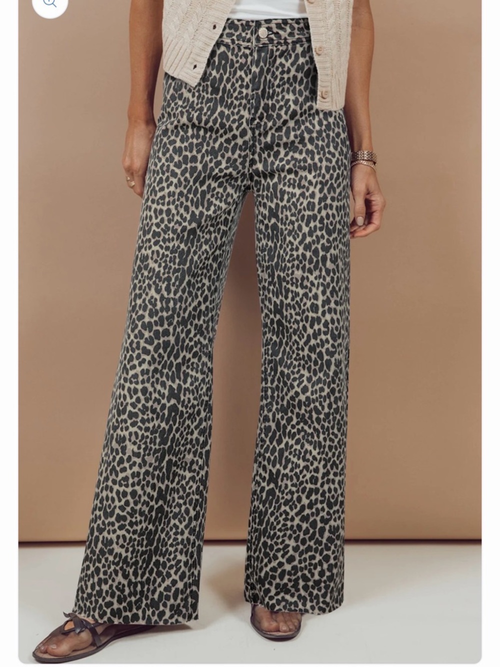 Wide-Leg Leopard Print Pants in Leopard Print